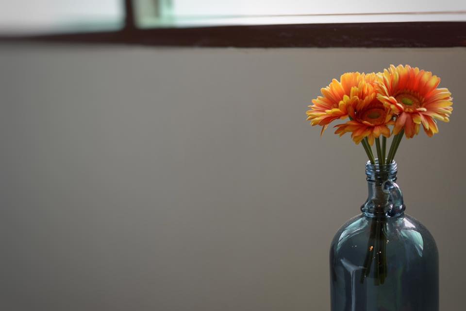 13697159_629764653866153_5650903028588857049_n